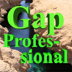 Gap Professional EA MT4 v1.4 Gap Trading Strategy